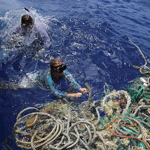 Frontline: Fighting plastic pollution*In CRJ last year, we featured a blog about Emily Penn and her work on plastics in the ocean and toxic ocean pollution. Claire Sanders speaks to Emily to learn more about where her work has taken her